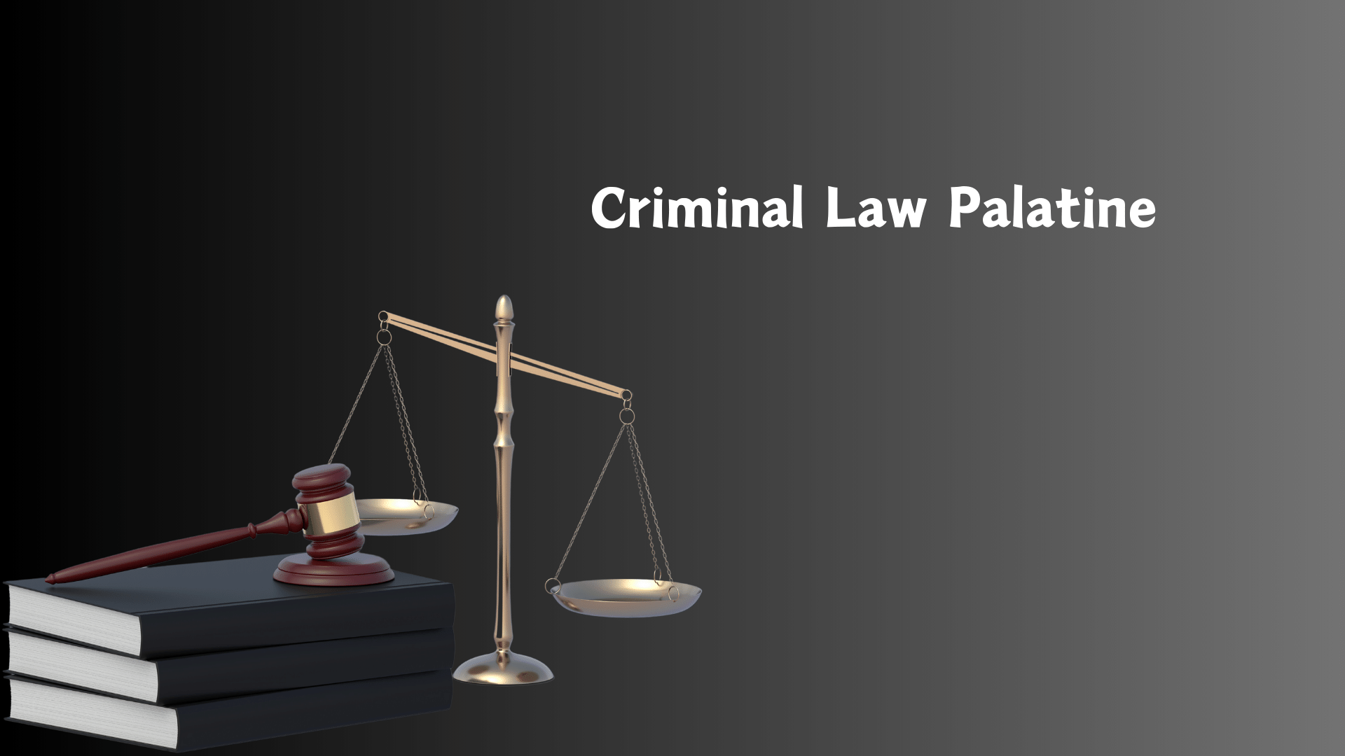 Criminal Law Palatine